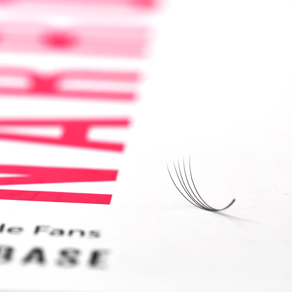 5D Narrow Fans - 900 Fans