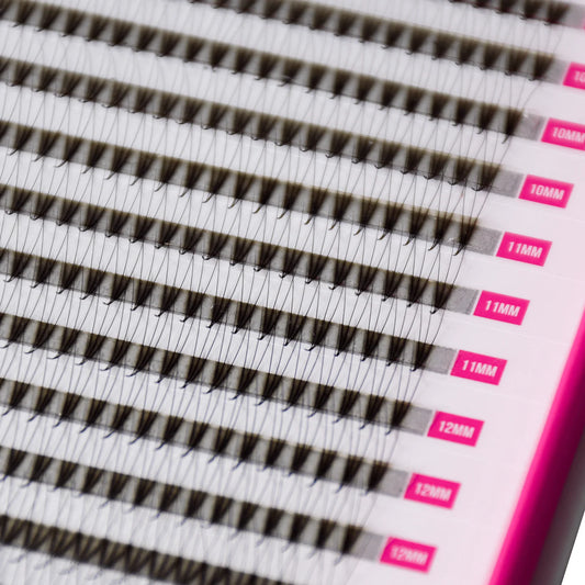 3D Volume Fans – XXL Tray