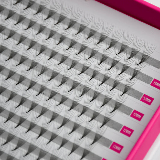 8D Mega Volume Fans – XXL Tray