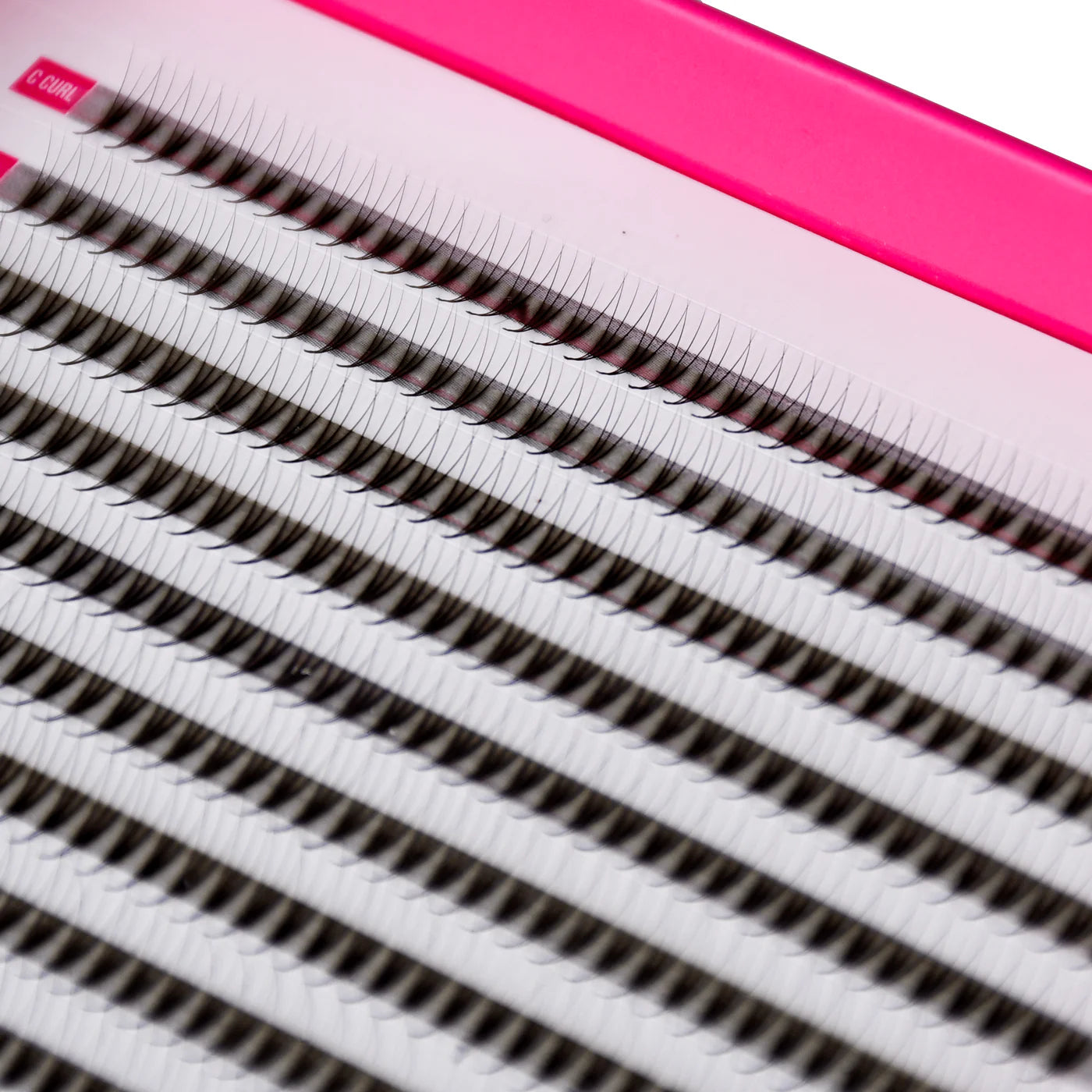 3D Volume Fans – XXL Tray