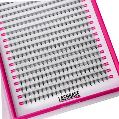 8D Mega Volume Fans – XXL Tray